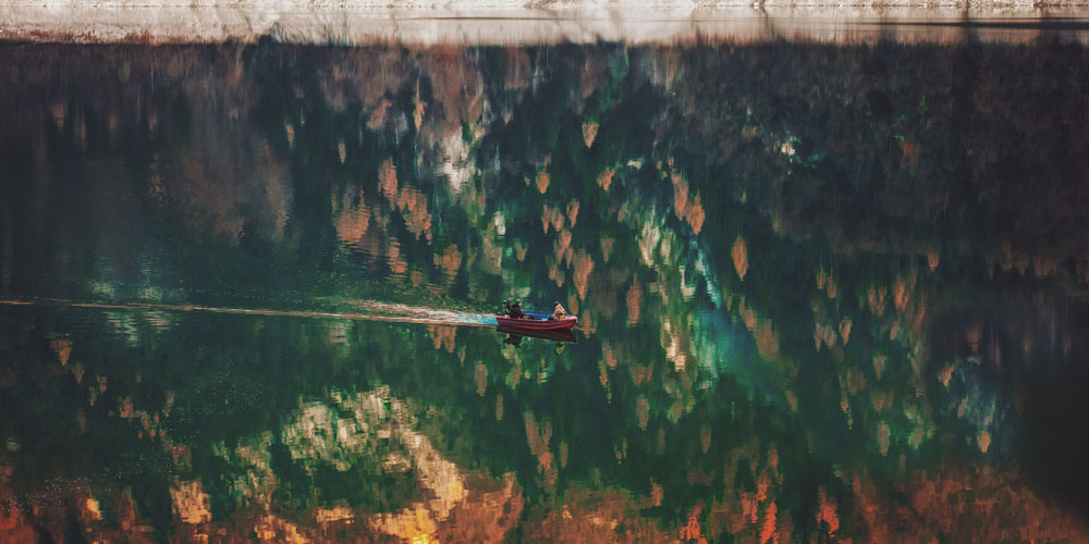 Not-boring-finds-for-February-2019.jpg