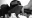 Oligarchs-Despots-and-Soccer-Moms-Reflections-on-the-price-of-oil-Part-II.jpg
