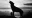 The-Myth-of-the-Alpha-Wolf-1.jpg