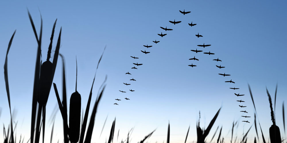 Getting in alignment Why investors need to pay attention to executive compensation