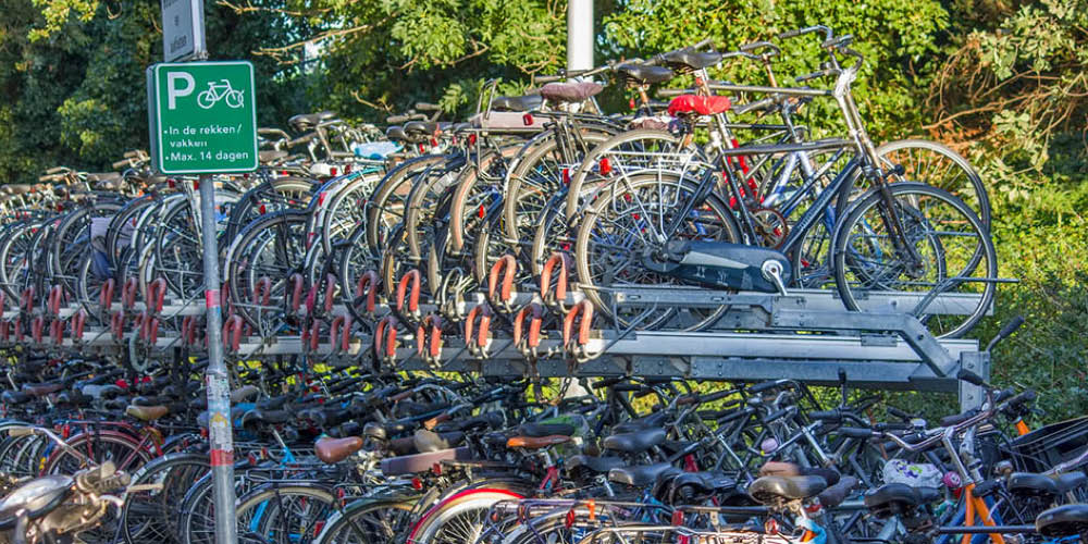 bicycles.jpg