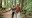 Making the Most of CPP When is the right time to start your pension
