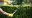 iStock 1163739474