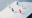 iStock 1409304190
