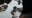 priscilla du preez K8XYGbw4Ahg unsplash v2