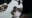 priscilla du preez K8XYGbw4Ahg unsplash